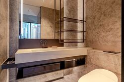 Cuscaden Reserve (D10), Condominium #584978351